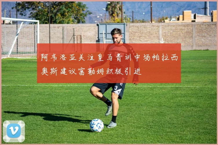 阿韦洛亚关注皇马青训中场帕拉西奥斯建议富勒姆积极引进